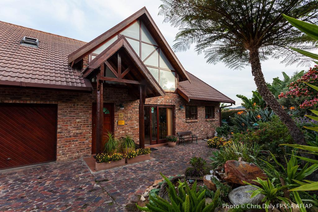 Paradise Found Knysna Bagian luar foto