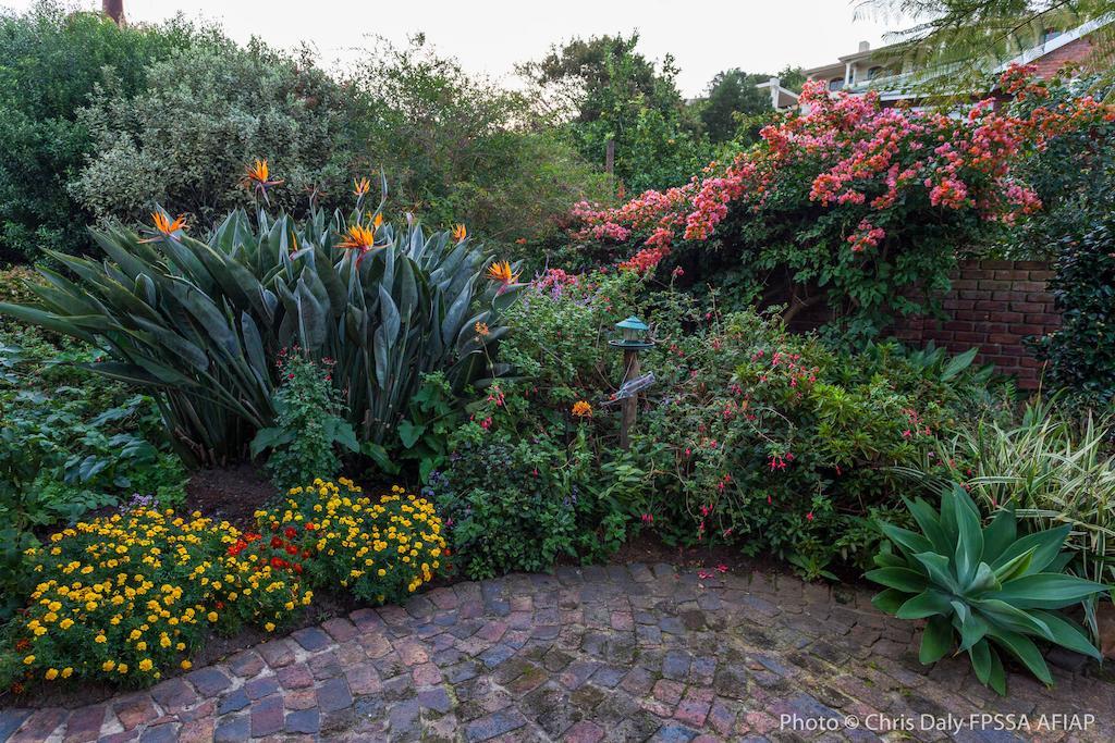 Paradise Found Knysna Bagian luar foto